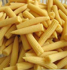 baby-corn