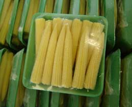 packaged-baby-corn