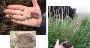 Labile Fraction of Soil Organic Matter: A Key Factor of the Quality of Agricultural Soils Soil-organic-matter