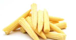 Baby Corn Recipes for Success – A profitable crop with multiple benefits babycorn