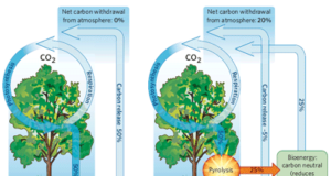 Bio char: A Charred Organic Matter and Its Importance in Soil biochar