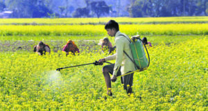 The Future of Agriculture: Contract Farming and New Technologies contract-farming