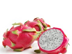 Dragon Fruit Plantation Guide dragon-fruit