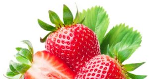 Strawberry Farming: A Deep Dive into Cultivation of Strawberry how-to-grow-strawberry