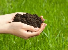 Importance of Microbial Biomass in Soil Fertility microbial-biomass-soil-fertility