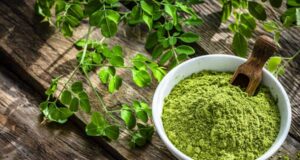 Unlocking the Potential of Moringa Farming in India: A Guide to Sustainable and Nutritious Agriculture moringa farming in india