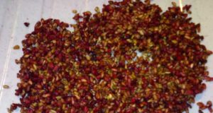 Wild Pomegranate (Anardana) pomegranate seeds anardana
