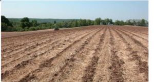Energy conservation in Agriculture Through Reduced Tillage