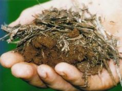 Soil Carbon Sequestration – A win win strategy to mitigate Climate Change soil-carbon-sequencing