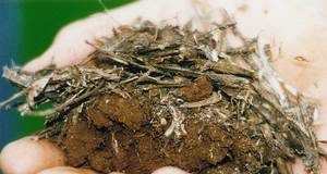 Soil Carbon Sequestration – A win win strategy to mitigate Climate Change soil-carbon-sequencing