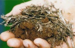 Soil Carbon Sequestration – A win win strategy to mitigate Climate Change soil-carbon-sequencing