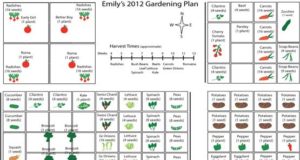 Square Foot Gardening: A Simplified Method of gardening